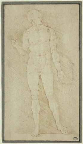 Homme nu, debout, de profil à droite, étude pour les 'Proportions du corps'
