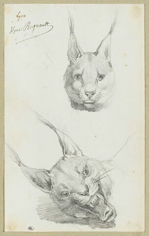 Deux têtes de lynx, image 1/2