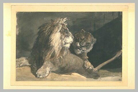 Lion et lionne, image 1/1