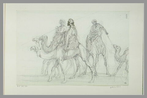 Trois dromadaires marchant vers la gauche, portant des cavaliers, image 1/1
