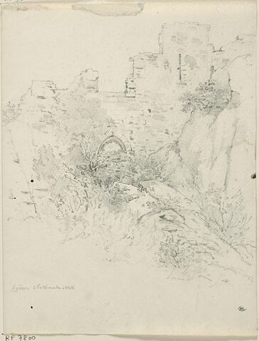 Ruines d'un château féodal envahies par les broussailles à Hyères, image 1/2