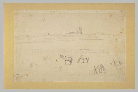Vue de Dunkerque prise des dunes, avec des chevaux au pré, image 1/1