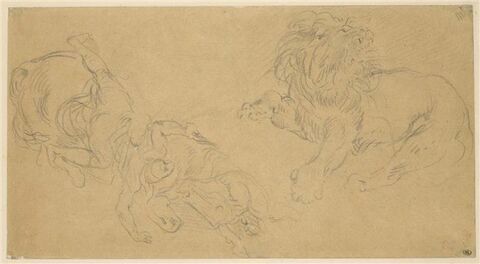 Cavalier tombant de cheval, et lion rugissant, image 1/2