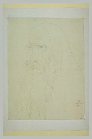 Tête de vieillard à longue barbe, de trois-quarts vers la gauche, image 1/1