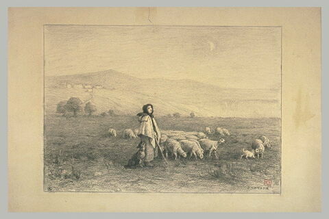 Jeune gardeuse de moutons