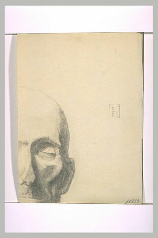 Fragment d'une étude de tête : le masque de Pascal (?), image 1/1