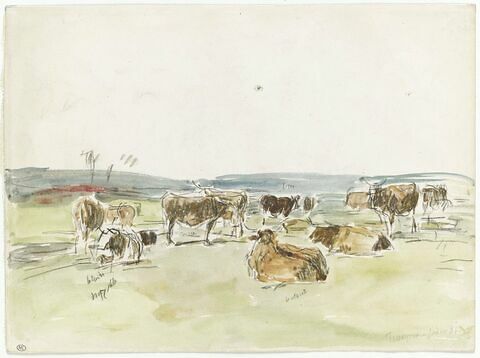 Troupeau de vaches dans un pâturage à Fervaques