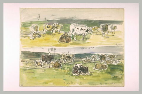 Troupeaux de vaches à Fervaques, image 2/2