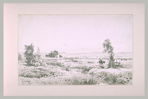Perspective de prairies avec des collines à l'horizon, image 1/1