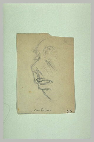 Croquis caricatural d'une tête de trois quarts à gauche, image 1/1