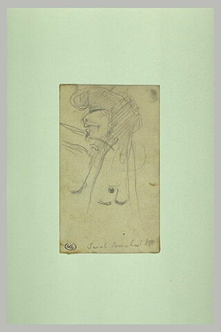 Tête caricaturale de femme, de profil à gauche, image 1/2