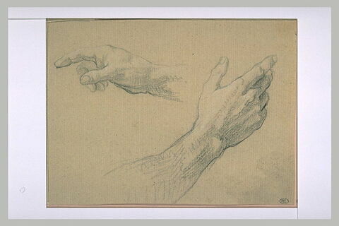 Deux études de mains : main droite et main gauche