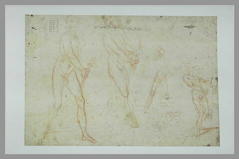 Quatre études de figures nues, semblant dégainer ou tenir un bâton, image 1/1