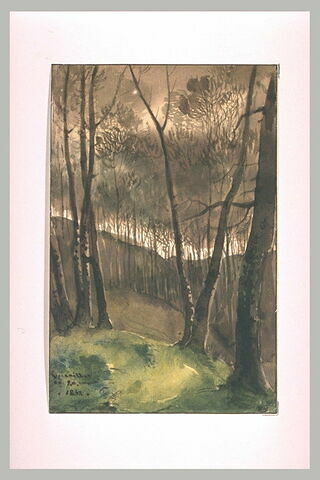 Le bois de Satory à Versailles, 1838, image 1/1