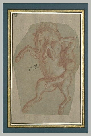 Cavalier nu, tombant d'un cheval cabré et renversé, image 1/1