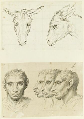 Deux têtes d'âne, image 2/4