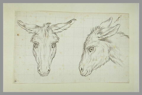 Deux têtes d'âne, image 3/4