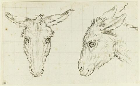 Deux têtes d'âne, image 4/4