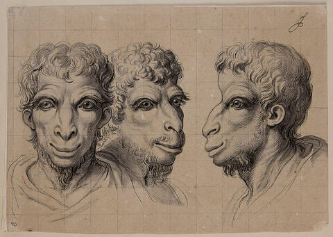 Trois têtes physiognomoniques inspirées par le chameau