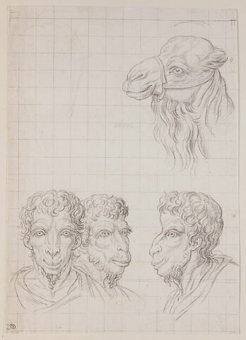 Une tête de chameau et trois têtes d'hommes en relation avec le chameau