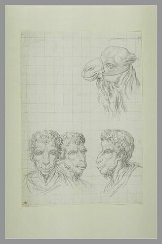 Une tête de chameau et trois têtes d'hommes en relation avec le chameau, image 2/2