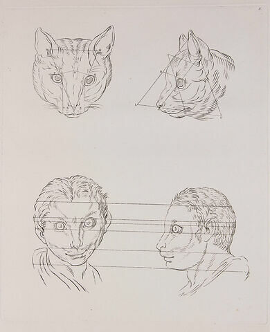 Deux têtes de chat et deux d'homme en relation avec le chat, image 1/2