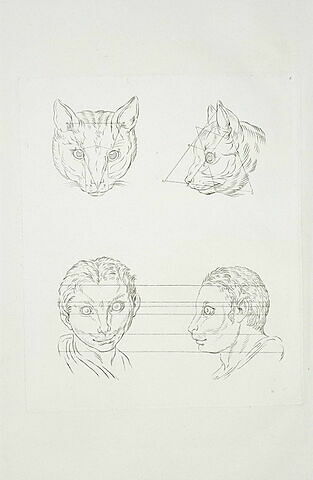 Deux têtes de chat et deux d'homme en relation avec le chat, image 2/2