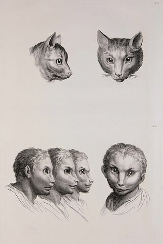 Deux têtes de chat et quatre têtes d'hommes en relation avec le chat.
