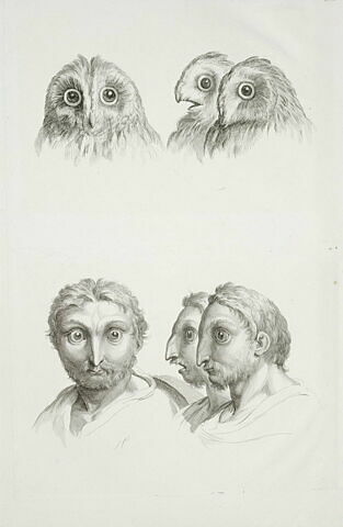 Trois têtes de chat-huant et trois têtes d'hommes en relation avec celles-ci, image 2/2