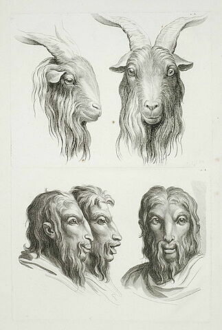 Deux têtes de bouc et trois têtes d'homme en relation avec le bouc, image 2/2