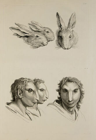 Trois têtes de lièvres et trois têtes d'hommes en relation avec le lièvre