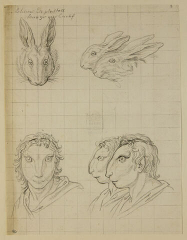 Deux têtes de lièvre, une tête de lapin et trois têtes d'hommes
