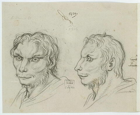 Deux têtes d'hommes en relation avec le loup-cervier, image 2/2
