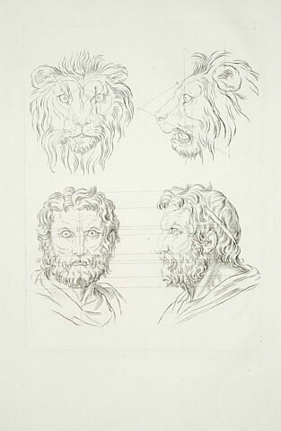Deux têtes de lion et deux têtes d'homme en relation avec le lion., image 2/2