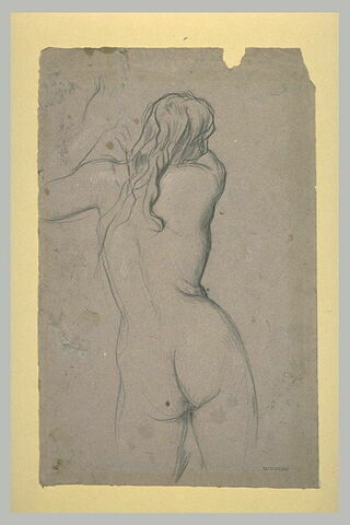 Femme nue, debout, vue de dos, image 1/1