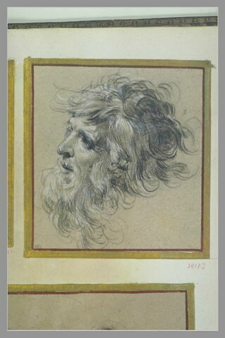 Tête d'homme aux cheveux en désorde, de trois quarts à gauche, image 2/2