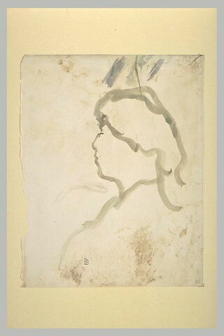 Femme vue en buste, de profil à gauche, image 2/2