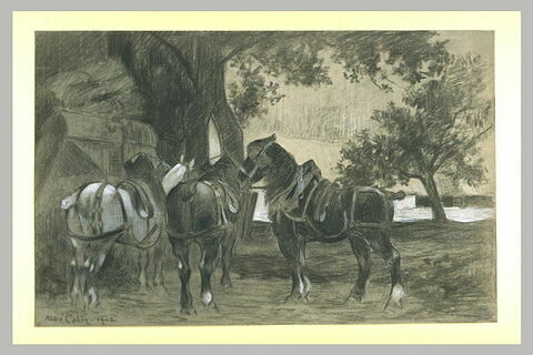 Trois chevaux près d'un arbre