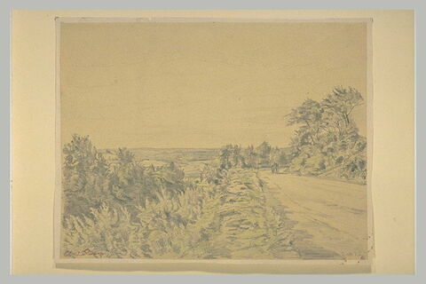 Paysage panoramique avec une route bordée d'arbres