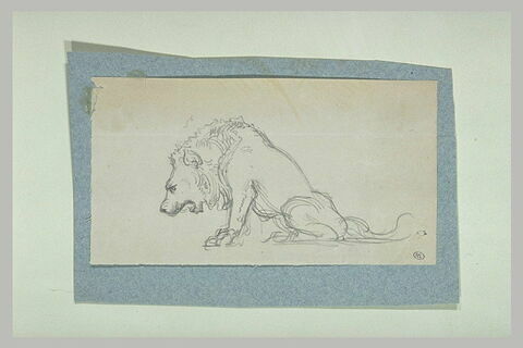 Lion rugissant, de profil à gauche, image 1/1