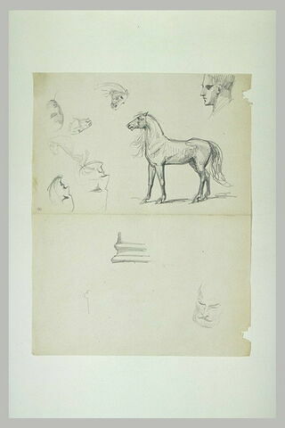 Etudes de chevaux, de têtes et d'une base de colonne, image 1/1