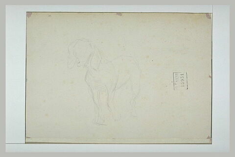 Cheval, image 1/1