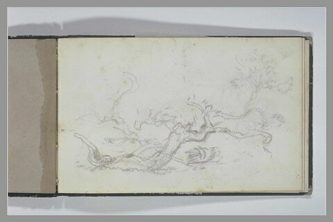 Décharge d'un dessin représentant un arbre ou une branche fleurie