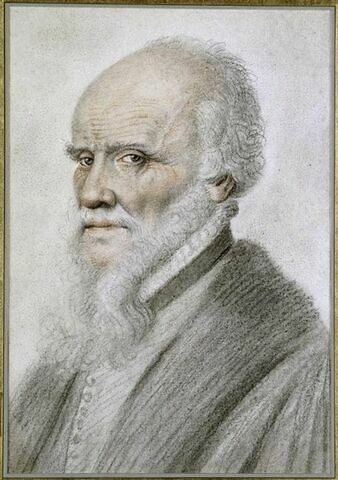Portrait présumé d'Ambroise Paré, image 1/1