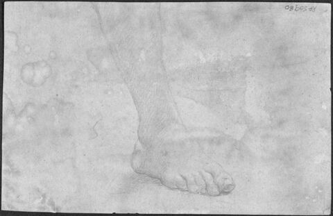 Etude d'un pied droit et fragment d'une anatomie, image 1/1