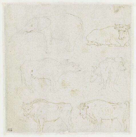 Six études d'animaux, dont un éléphant, un taureau et deux bisons, image 1/1