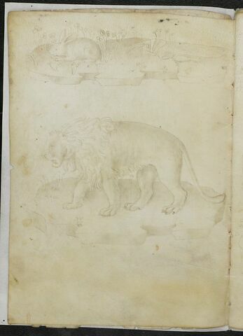 Lapin sur un tertre et lion, image 1/1