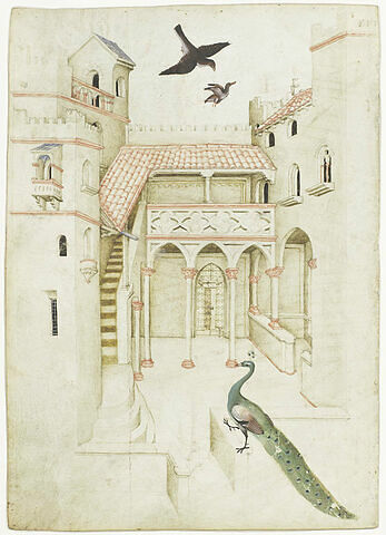 Cour intérieure d'un palais, paon et faucon attaquant un canard
