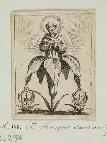 Saint François dans un lys, image 1/1