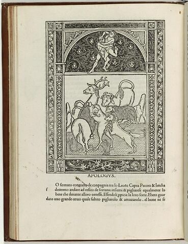 Fable du lion allant à la chasse avec un agneau, une chèvre et un boeuf, image 1/1